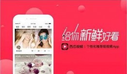 可乐爆料西瓜视频完整版,揭秘幕后真相与精彩瞬间