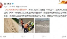 石家庄农村爆料视频曝光,石家庄农村爆料视频揭露惊人真相